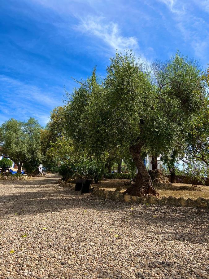 Вилла Complejo Rural Mirador De La Alcaidia Орначуэлос Экстерьер фото